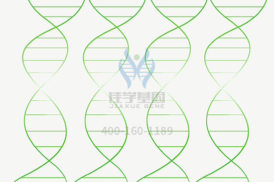 【U乐国际U乐基因检测】脊髓延髓肌萎缩症基因解码、基因检测